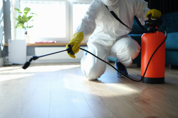 Reliable Odor Removal contractor in Hamilton, WA by Trauma Clean Pros